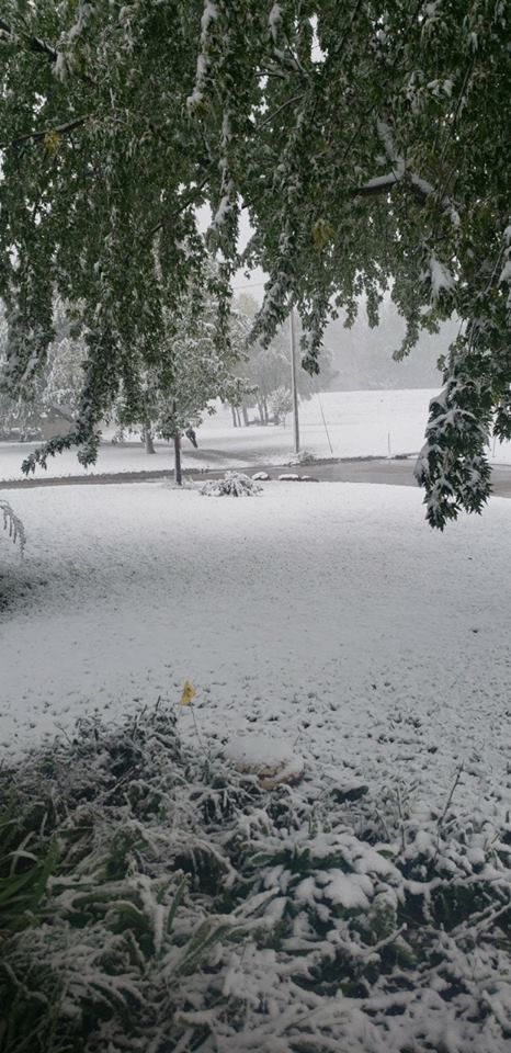 Snow, 10/14